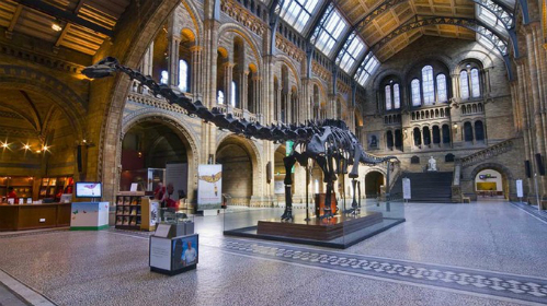 Xương khủng long 'thất thế' tại bảo tàng Anh